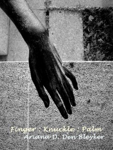 Finger_Knuckle_Palm